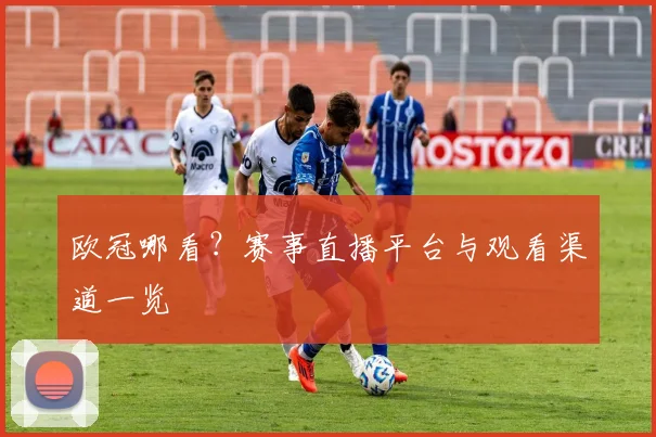 欧冠哪看?赛事直播平台与观看渠道一览